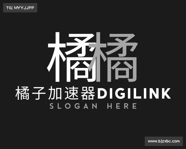 知道橘子加速器digilink